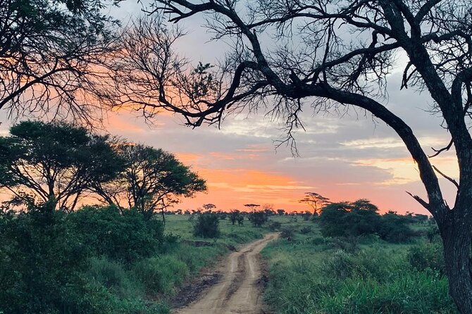 03 days Serengeti and Ngorongoro Crater group (camping) - Camping, food, and comfort on the road