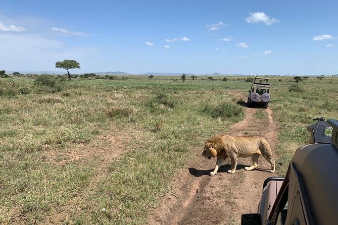 04 Days Tarangire, Serengeti and Ngorongoro crater group (Camping - Day two: Through Ngorongoro toward Serengeti