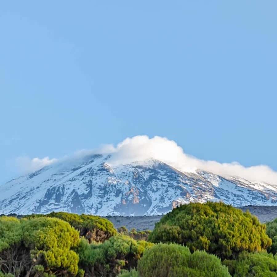 #1. Best Kilimanjaro Day hike Tour-Machame Route-ISMANI - Starting from Moshi or Arusha