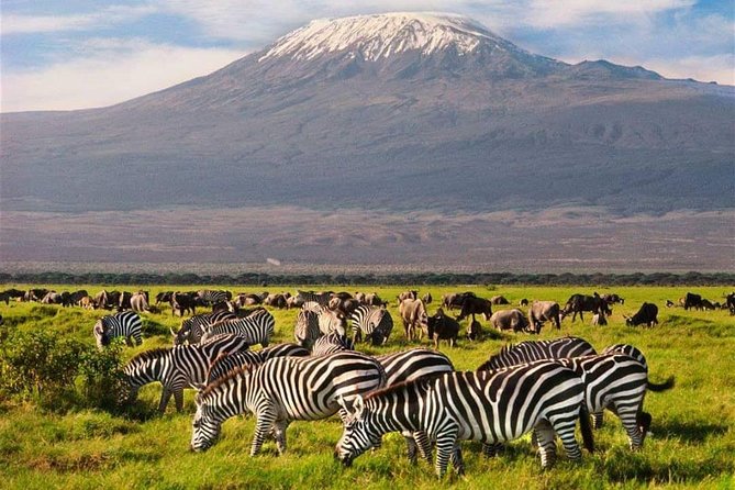 #1 Best Tanzania Safari Tarangire Day tour Adventure - Why Tarangire works for a one-day safari