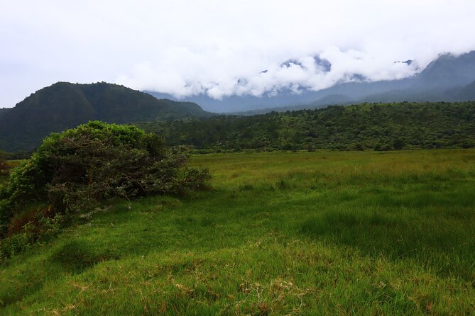 1 Day Arusha national park (Game drive and walking safari). - Why the walking safari changes the day