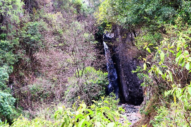 1 Day Arusha national park (Game drive and walking safari). - What the private format means at $450