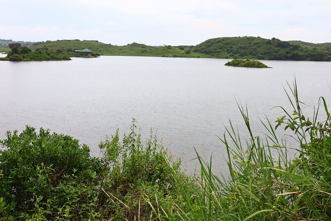 1 Day Arusha national park (Game drive and walking safari). - Guides, timing, and the human side of the day