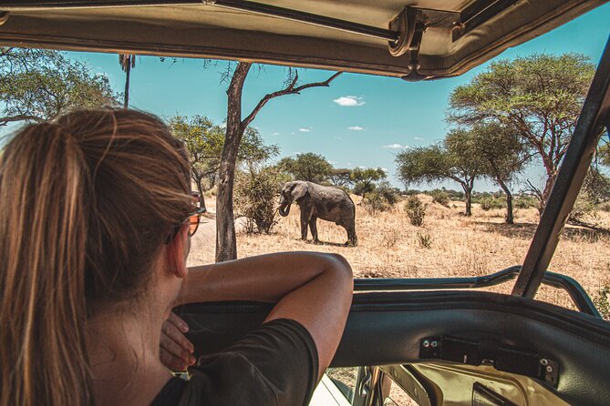 1-Day Fly in Shared Safari to Mikumi National Park from Zanzibar - Why fly from Zanzibar to Mikumi?