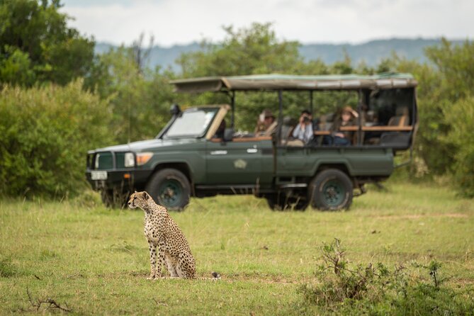 1-Day Fly in Shared Safari to Mikumi National Park from Zanzibar - The real tradeoff: access versus time