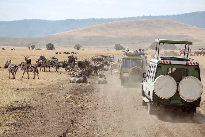 1-Day Fly in Shared Safari to Mikumi National Park from Zanzibar - The 4:30 am start and airport transfer