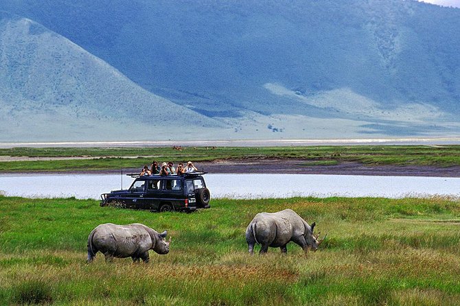 1 Day Joined Group Safari in Ngorongoro Crater National Park - The 5:00 am pickup from Arusha