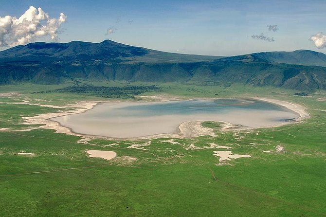 1 Day Joined Group Safari in Ngorongoro Crater National Park - Six hours among crater wildlife