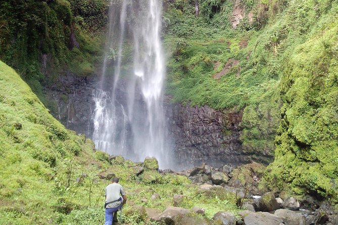 1 Day Kilimanjaro forest (mambori waterfalls). - Why Mambori Waterfall makes a strong Kilimanjaro day trip