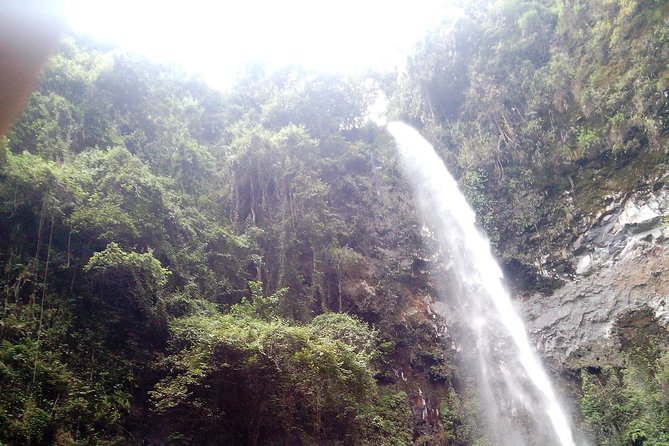 1 Day Kilimanjaro forest (mambori waterfalls). - Mambori’s 80-meter waterfall