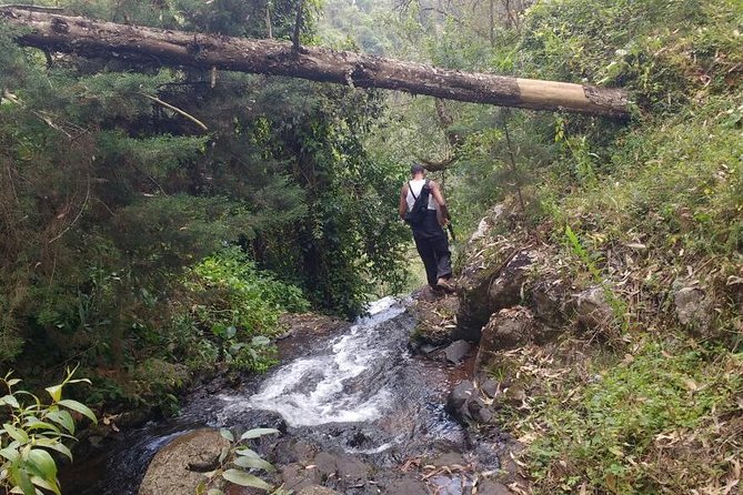1 Day Kilimanjaro forest (mambori waterfalls). - Chief Meli and the human story of the route