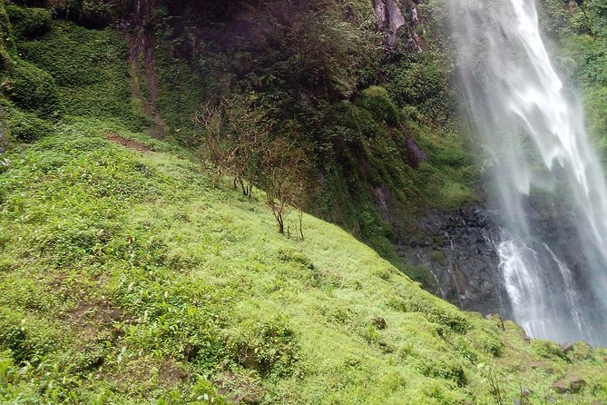 1 Day Kilimanjaro forest (mambori waterfalls). - What the private format is really worth