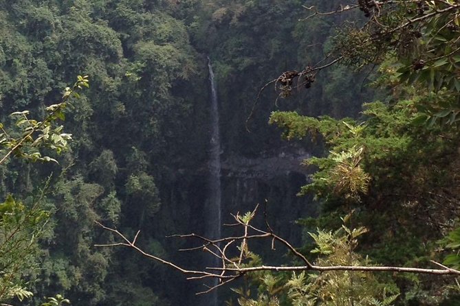1 Day Kilimanjaro forest (mambori waterfalls). - The morning pickup from Arusha or Moshi