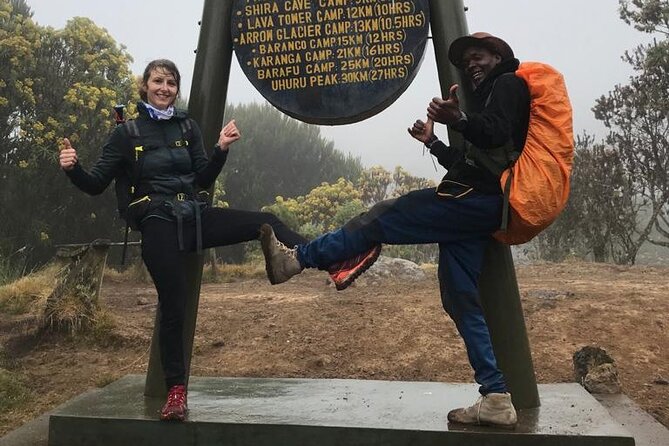1 Day Kilimanjaro Hiking - Machame Route - Rainforest scenery before the Shira Plateau