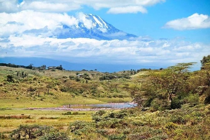 1 Day Kilimanjaro Hiking - Machame Route - Booking, timing, and cancellation details