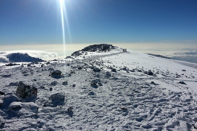 1 Day Kilimanjaro Hiking - Machame Route - Who should choose this Machame experience?