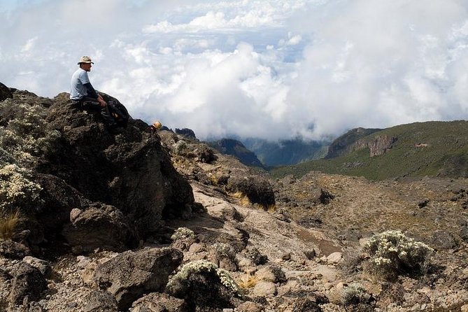 1 Day Marangu Route Climbing Kilimanjaro - Key points about the Marangu day hike