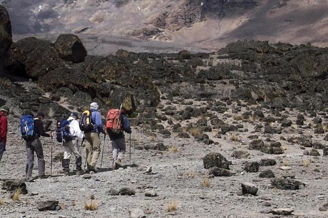 1 Day Marangu Route Climbing Kilimanjaro - Walking through Kilimanjaro’s forest zone