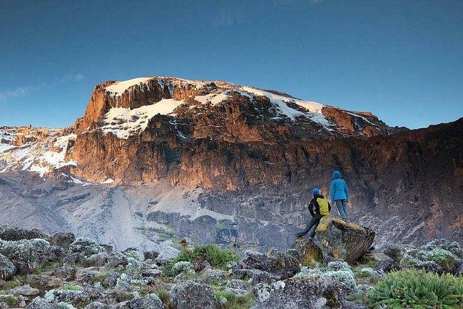 1 Day Marangu Route Climbing Kilimanjaro - Understanding Kibo, Mawenzi, and Shira
