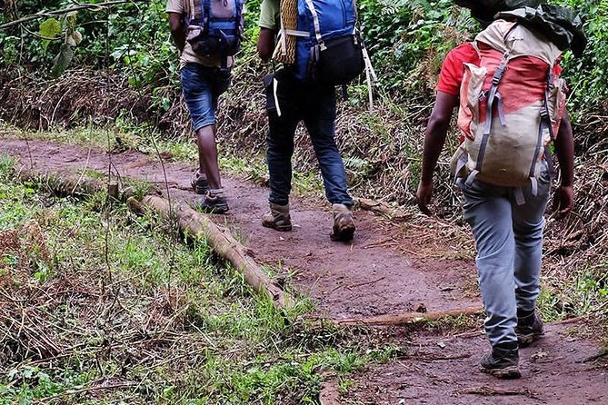 1 Day Marangu Route Climbing Kilimanjaro - Reaching Marangu Gate and getting ready