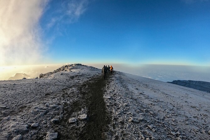 1 Day Marangu route trip up to Mandara Hut | Kilimanjaro hiking - Why Mandara Hut makes a strong one-day Kilimanjaro goal