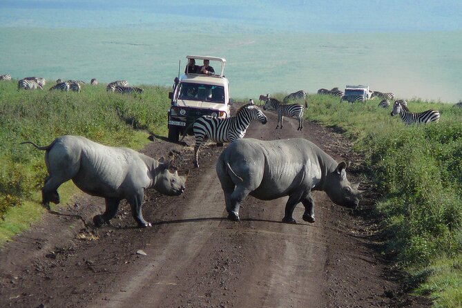1 Day Ngorongoro Crater Group Jioning Safari - Why Ngorongoro Crater works so well as a one-day safari