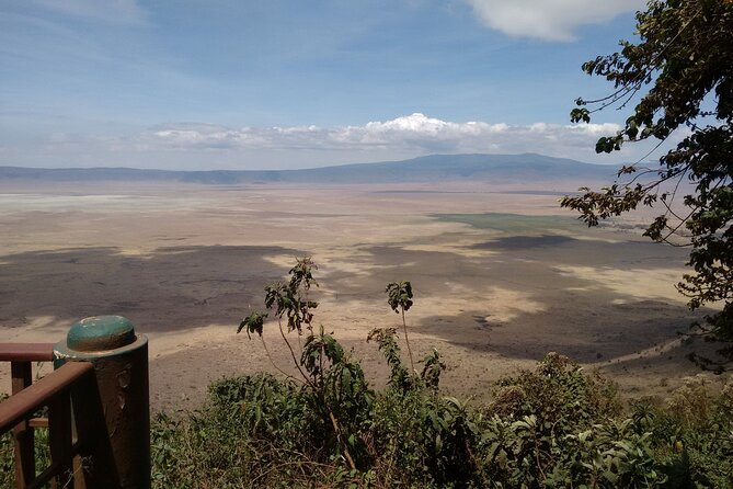 1 Day Ngorongoro Crater Group Jioning Safari - Game viewing on the crater floor
