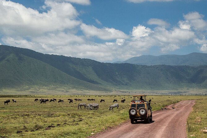 1 Day Ngorongoro Crater Group Jioning Safari - Afternoon viewing and the climb out