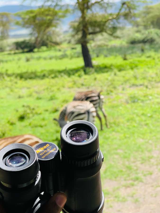 1 Day Ngorongoro Crater Group joining safari - Birds and the soda lake