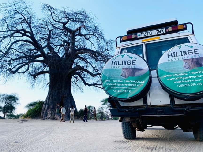 1-Day Ngorongoro Crater Special Big 5- Joining Group Safari - Key points to know before booking