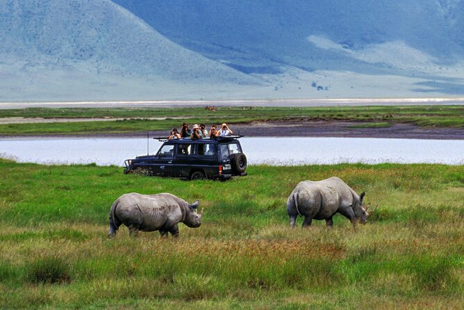 1 Day Private Ngorongoro Crater Safari - Why Ngorongoro Crater makes a strong one-day safari