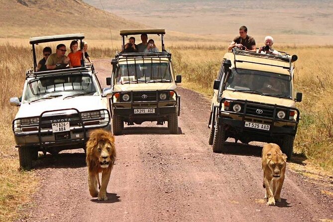 1 Day Private Ngorongoro Crater Safari - Wildlife inside the crater