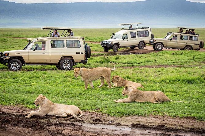 1 Day Private Ngorongoro Crater Safari - Private touring and the guide question