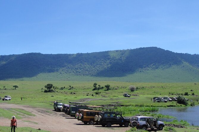1 Day Private Ngorongoro Crater Safari - Is $565.18 per person good value?