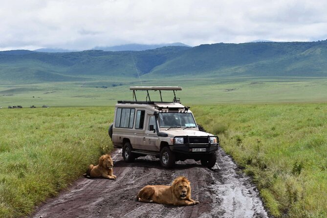 1 Day Private Ngorongoro Crater Safari - Who should book this Arusha day trip?