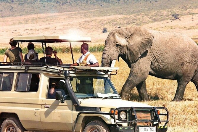 1 Day Private Ngorongoro Crater Safari - Reaching the crater rim and taking in the view