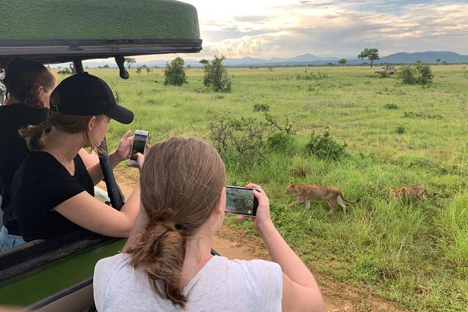 1 Day Safari to Mikumi National Park - Why Mikumi works for a one-day safari