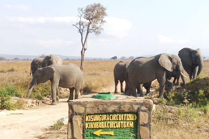 1 Day Safari to Mikumi National Park - Entering Mikumi National Park and starting the game drive
