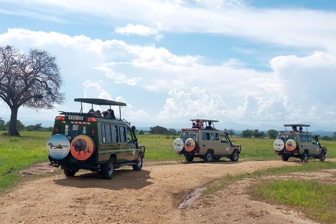 1 Day Safari to Mikumi National Park - The guide makes the difference