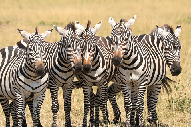 1-Day Safari-Trip to Tarangire National Park - Entering Tarangire National Park