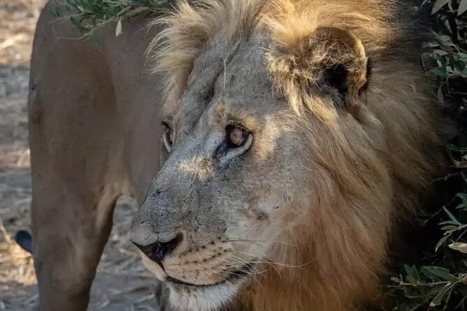 1. Day safaris to Mikumi by Train from dar es salaam - Who will get the most from this day trip
