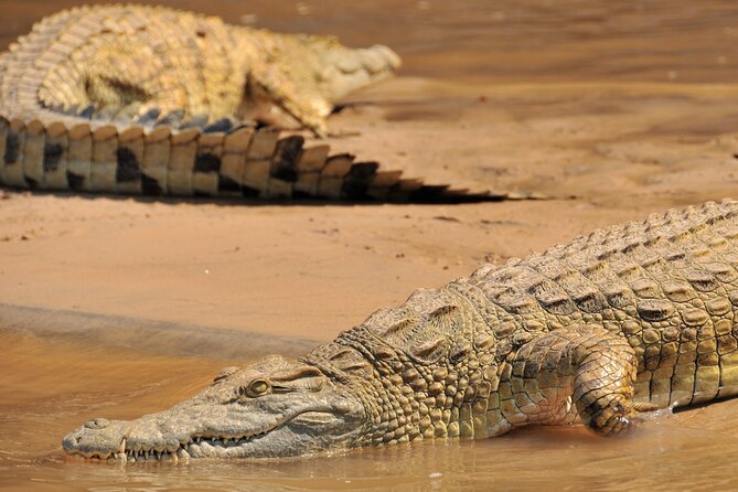 1-Day Selous (Nyerere National Park) Fly-In Safari from Zanzibar - Who Will Enjoy This Safari Most?