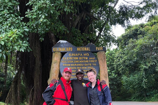 1 day tour hike mount kilimanjaro through marangu route - The Two Hour Descent to Marangu Gate