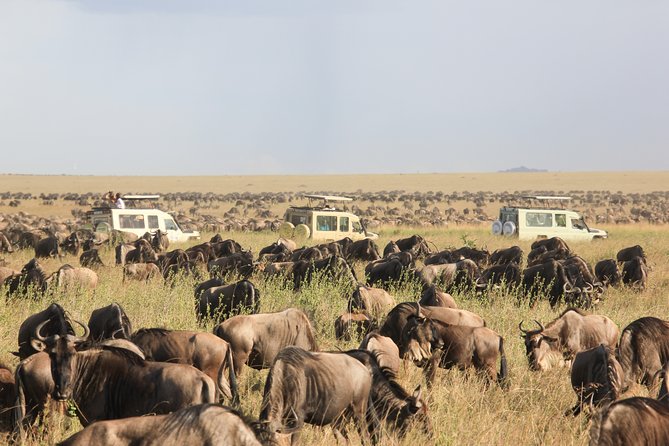 1 days Tanzania Sharing Joining group Safari - Ngorongoro Crater - The early road from Moshi or Arusha
