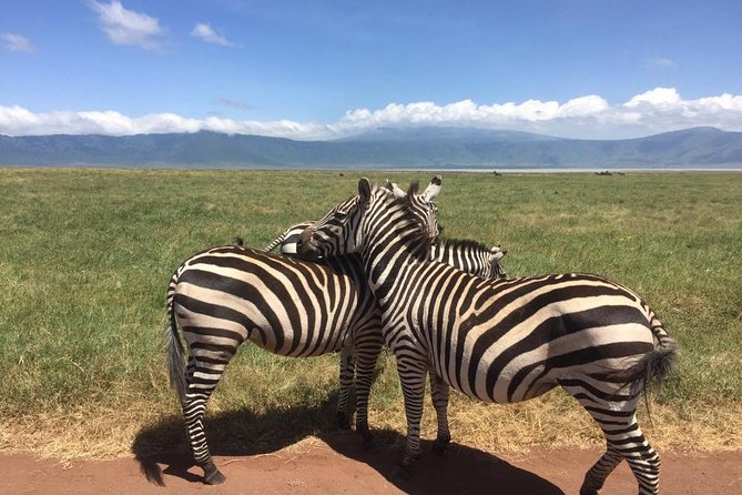 1 Daytrip Amazing to Ngorongoro Crater from Arusha or Moshi - Key points at a glance
