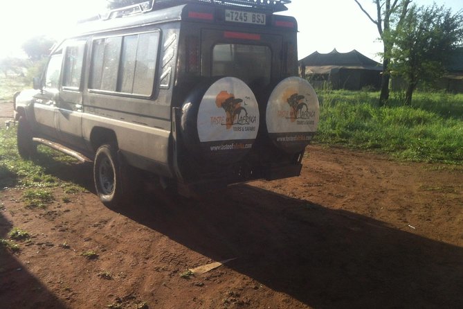 1 Daytrip Amazing to Ngorongoro Crater from Arusha or Moshi - Why Ngorongoro Crater makes a strong one-day safari
