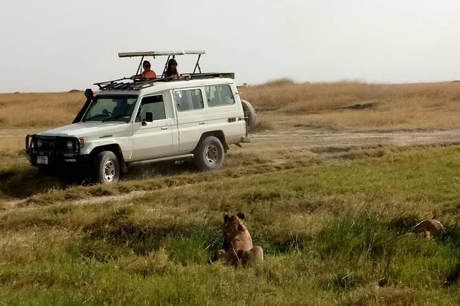 1 Daytrip Amazing to Ngorongoro Crater from Arusha or Moshi - Who will get the most from this tour