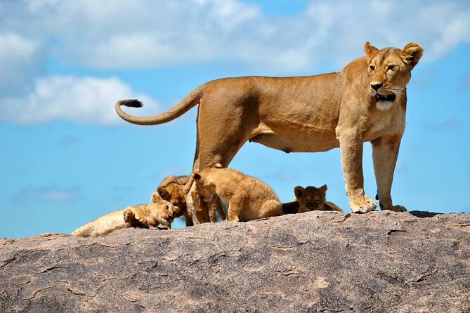 1 Daytrip Amazing to Ngorongoro Crater from Arusha or Moshi - Small details that make the day easier