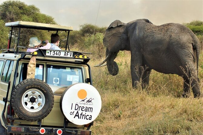 10-Day Amazing Comfort Camping Safari - A full Serengeti day gives the wildlife room to unfold
