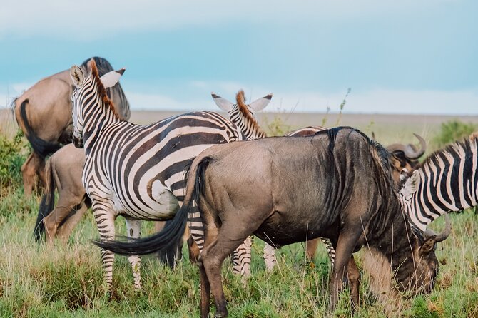 10-Day Serengeti Wildebeest Migration Safari from Arusha - Why this route works for a migration safari
